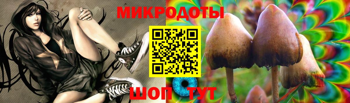 Псилоцибиновые грибы Cubensis Качканар